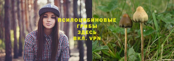 кокс Осташков
