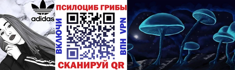 darknet как зайти Белая Холуница Псилоцибиновые грибы GOLDEN TEACHER